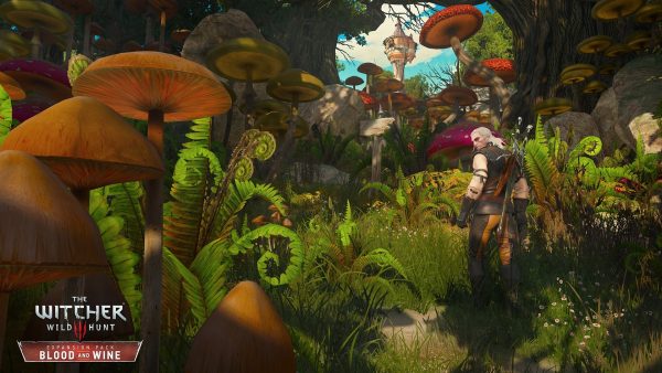 The Witcher 3: Wild Hunt - Blood & Wine - PS4 & PS5 - Image 4